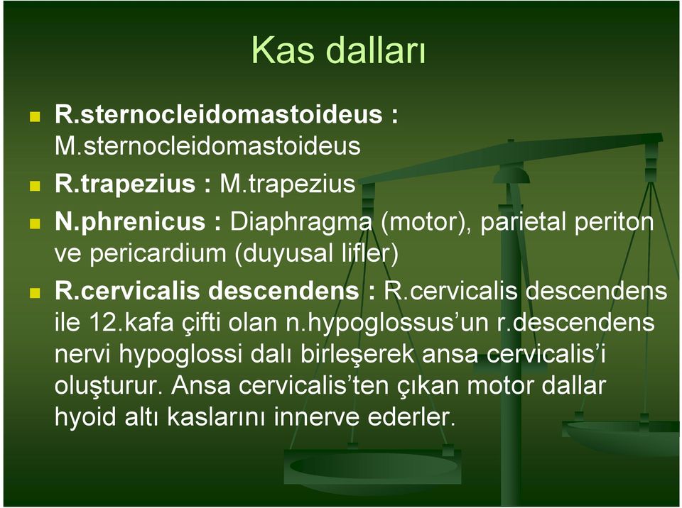 cervicalis descendens : R.cervicalis descendens ile 12.kafa çifti olan n.hypoglossus un r.