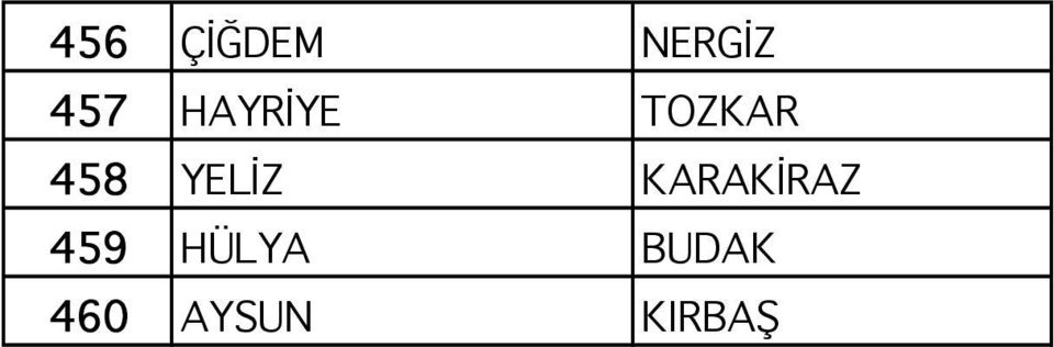 YELİZ KARAKİRAZ 459