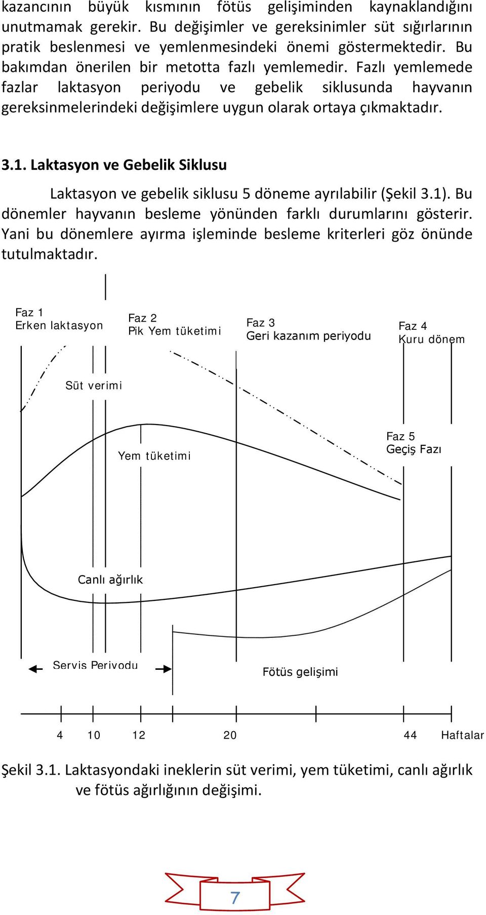 Laktasyon ve Gebelik Siklusu Laktasyon ve gebelik siklusu 5 döneme ayrılabilir (Şekil 3.1). Bu dönemler hayvanın besleme yönünden farklı durumlarını gösterir.