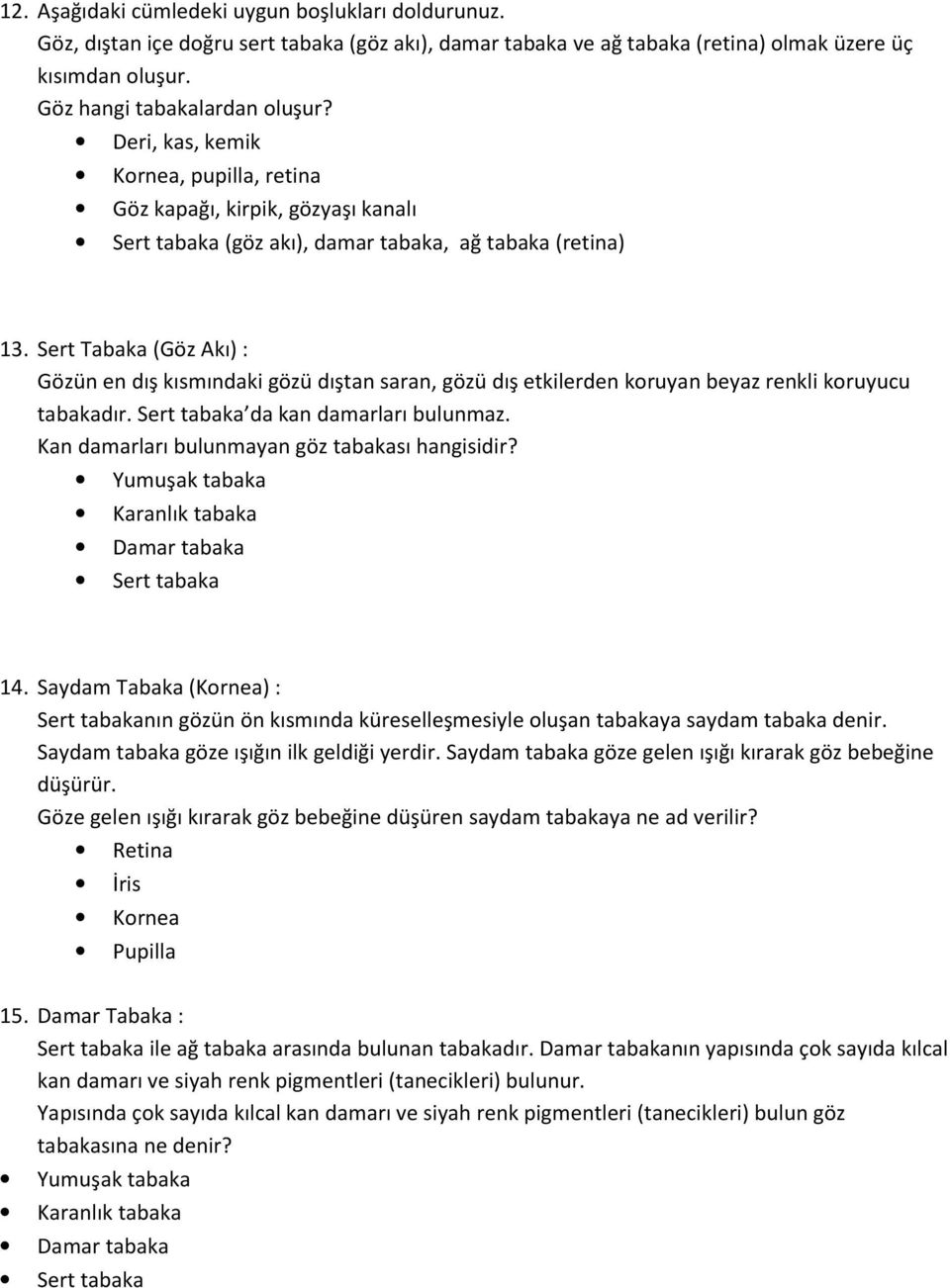 Sert Tabaka (Göz Akı) : Gözün en dış kısmındaki gözü dıştan saran, gözü dış etkilerden koruyan beyaz renkli koruyucu tabakadır. Sert tabaka da kan damarları bulunmaz.