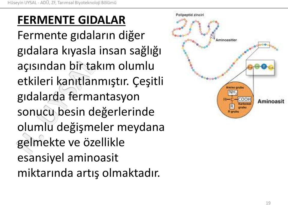 Çeşitli gıdalarda fermantasyon sonucu besin değerlerinde olumlu