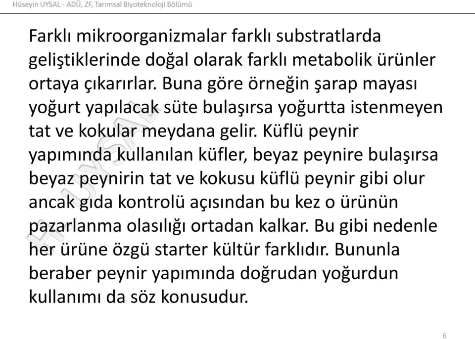 Küflü peynir yapımında kullanılan küfler, beyaz peynire bulaşırsa beyaz peynirin tat ve kokusu küflü peynir gibi olur ancak gıda kontrolü