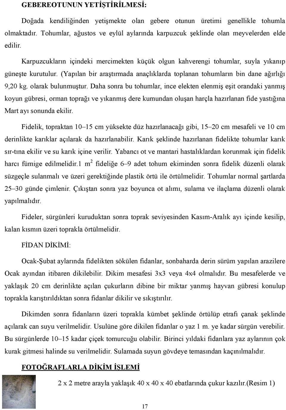 (Yapılan bir araştırmada anaçlıklarda toplanan tohumların bin dane ağırlığı 9,20 kg. olarak bulunmuştur.