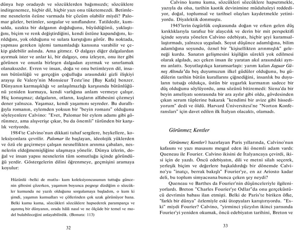 Tatildedir, kumsalda, uzakta bir dalganın doğduğunu, büyüdüğünü, yaklaştığını, biçim ve renk değiştirdiğini, kendi üstüne kapandığını, kırıldığını, yok olduğunu ve sulara karıştığını görür.