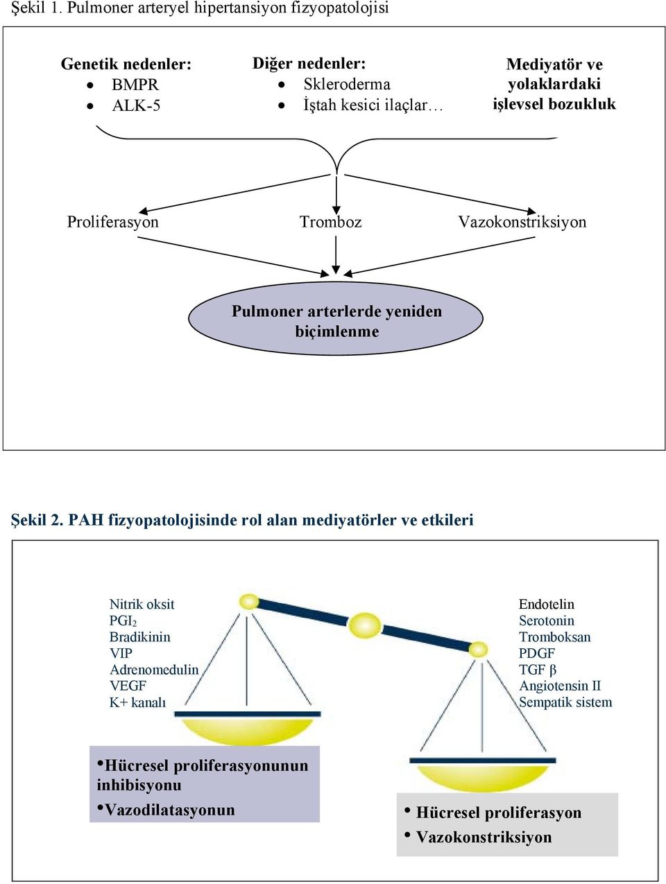 yolaklardaki işlevsel bozukluk Proliferasyon Tromboz Vazokonstriksiyon Pulmoner arterlerde yeniden biçimlenme Şekil 2.