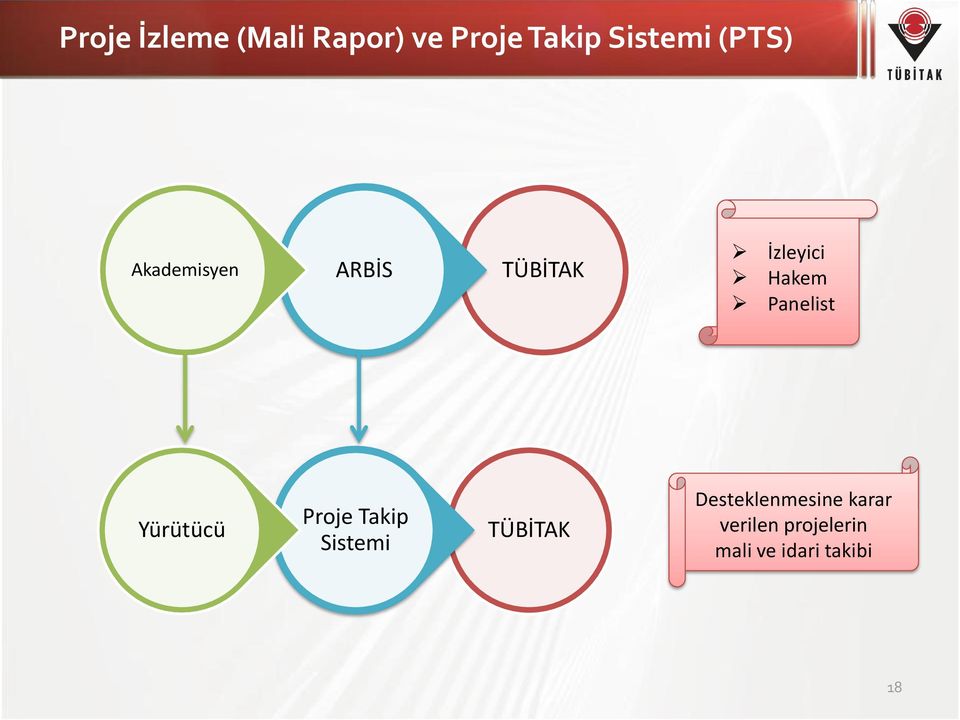 Panelist Yürütücü Proje Takip Sistemi TÜBİTAK