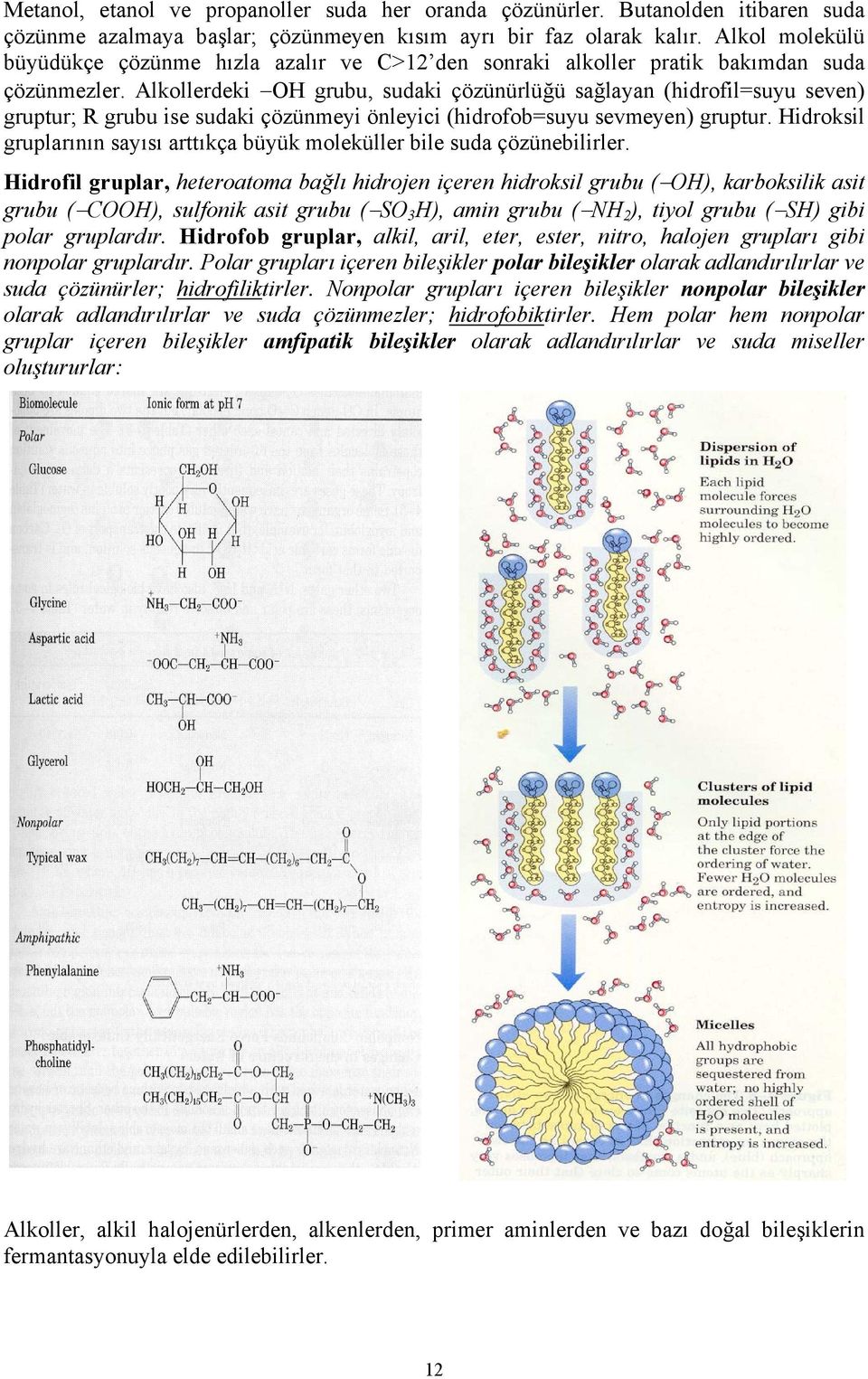 Alkollerdeki OH grubu, sudaki çözünürlüğü sağlayan (hidrofil=suyu seven) gruptur; R grubu ise sudaki çözünmeyi önleyici (hidrofob=suyu sevmeyen) gruptur.