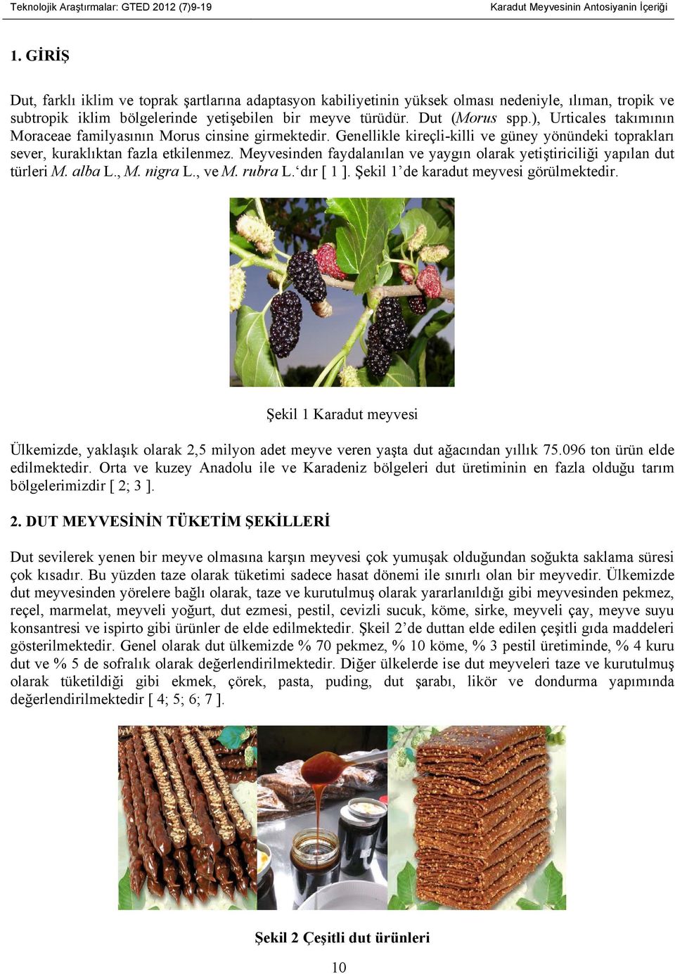 ), Urticales takımının Moraceae familyasının Morus cinsine girmektedir. Genellikle kireçli-killi ve güney yönündeki toprakları sever, kuraklıktan fazla etkilenmez.