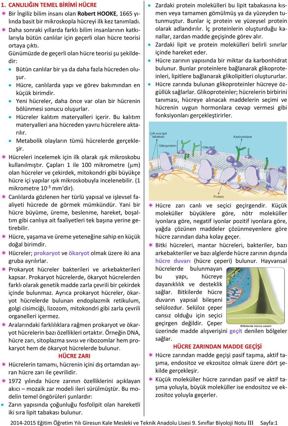 Günümüzde de geçerli olan hücre teorisi şu şekildedir: Bütün canlılar bir ya da daha fazla hücreden oluşur. Hücre, canlılarda yapı ve görev bakımından en küçük birimdir.