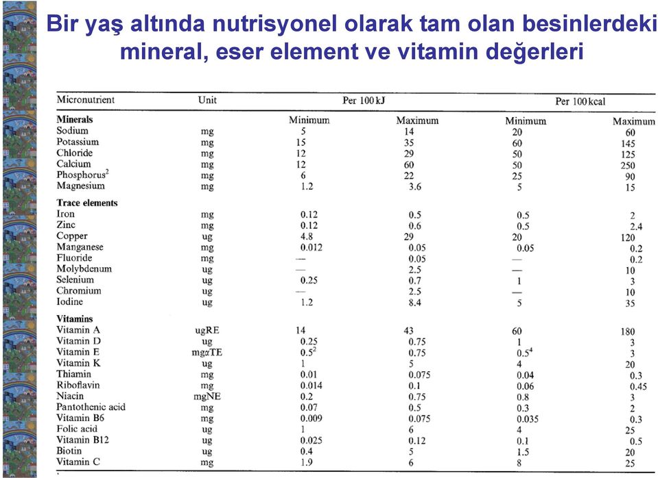 olan besinlerdeki