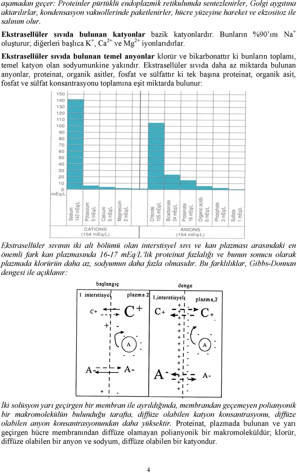 Ekstrasellüler sıvıda bulunan temel anyonlar klorür ve bikarbonattır ki bunların toplamı, temel katyon olan sodyumunkine yakındır.