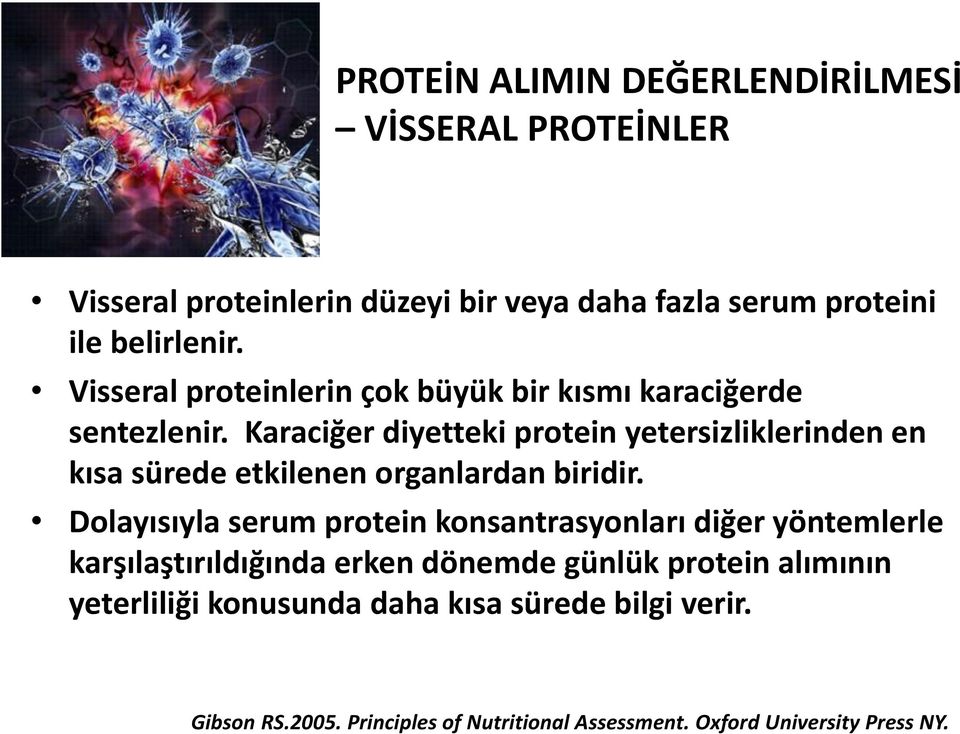 Karaciğer diyetteki protein yetersizliklerinden en kısa sürede etkilenen organlardan biridir.