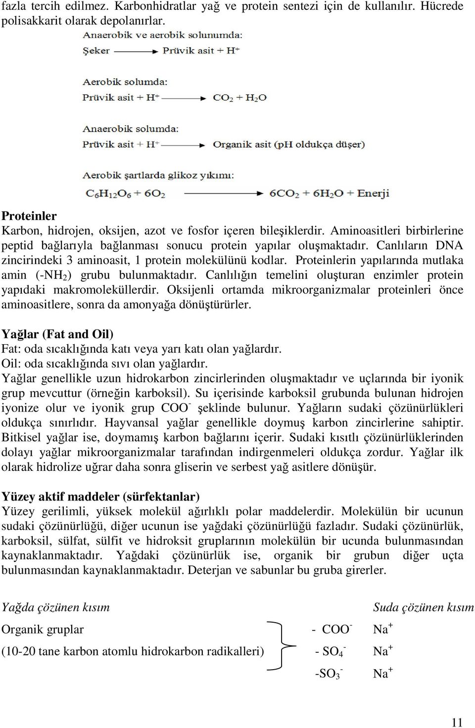 Proteinlerin yapılarında mutlaka amin (-NH 2 ) grubu bulunmaktadır. Canlılığın temelini oluşturan enzimler protein yapıdaki makromoleküllerdir.