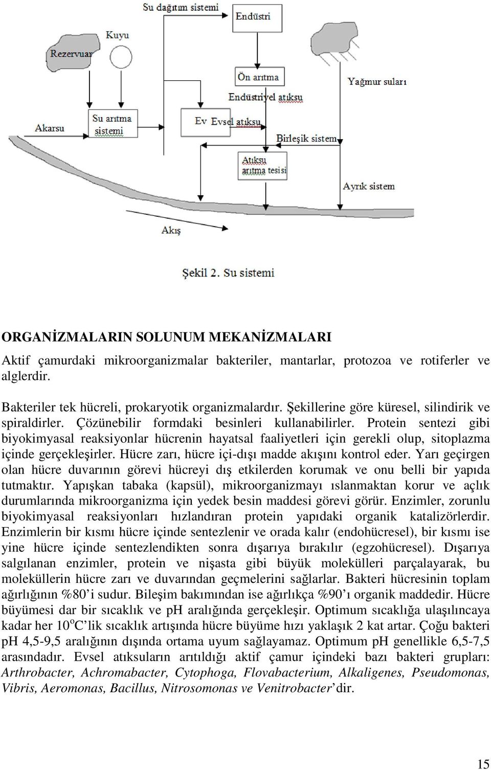 Protein sentezi gibi biyokimyasal reaksiyonlar hücrenin hayatsal faaliyetleri için gerekli olup, sitoplazma içinde gerçekleşirler. Hücre zarı, hücre içi-dışı madde akışını kontrol eder.