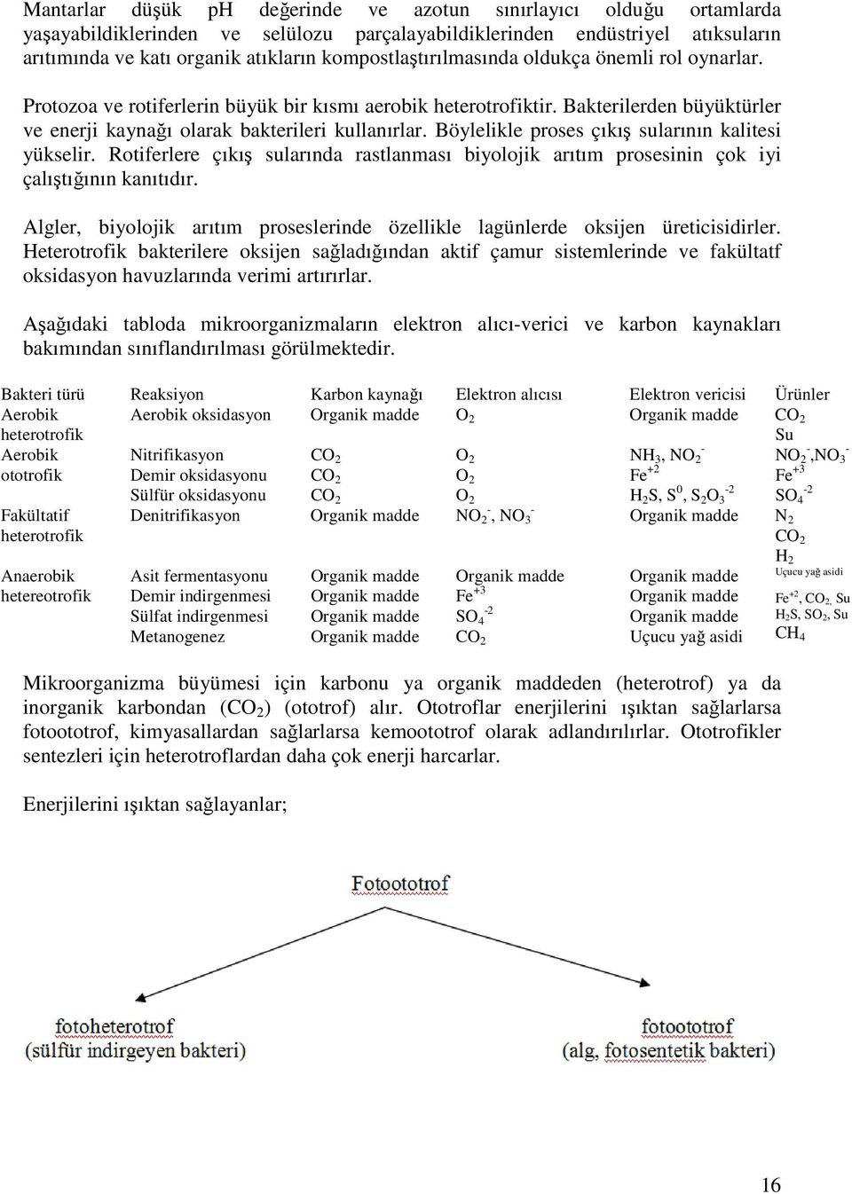 Böylelikle proses çıkış sularının kalitesi yükselir. Rotiferlere çıkış sularında rastlanması biyolojik arıtım prosesinin çok iyi çalıştığının kanıtıdır.