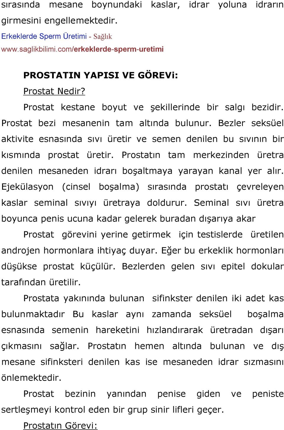 Bezler seksüel aktivite esnasında sıvı üretir ve semen denilen bu sıvının bir kısmında prostat üretir. Prostatın tam merkezinden üretra denilen mesaneden idrarı boşaltmaya yarayan kanal yer alır.