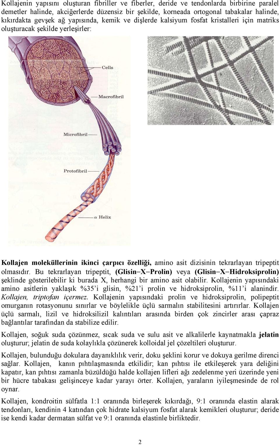 tripeptit olmasıdır. Bu tekrarlayan tripeptit, (Glisin X Prolin) veya (Glisin X Hidroksiprolin) şeklinde gösterilebilir ki burada X, herhangi bir amino asit olabilir.