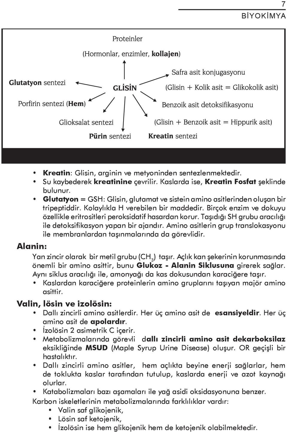 Birçok enzim ve dokuyu özellikle eritrositleri peroksidatif hasardan korur. Taşıdığı SH grubu aracılığı ile detoksifikasyon yapan bir ajandır.