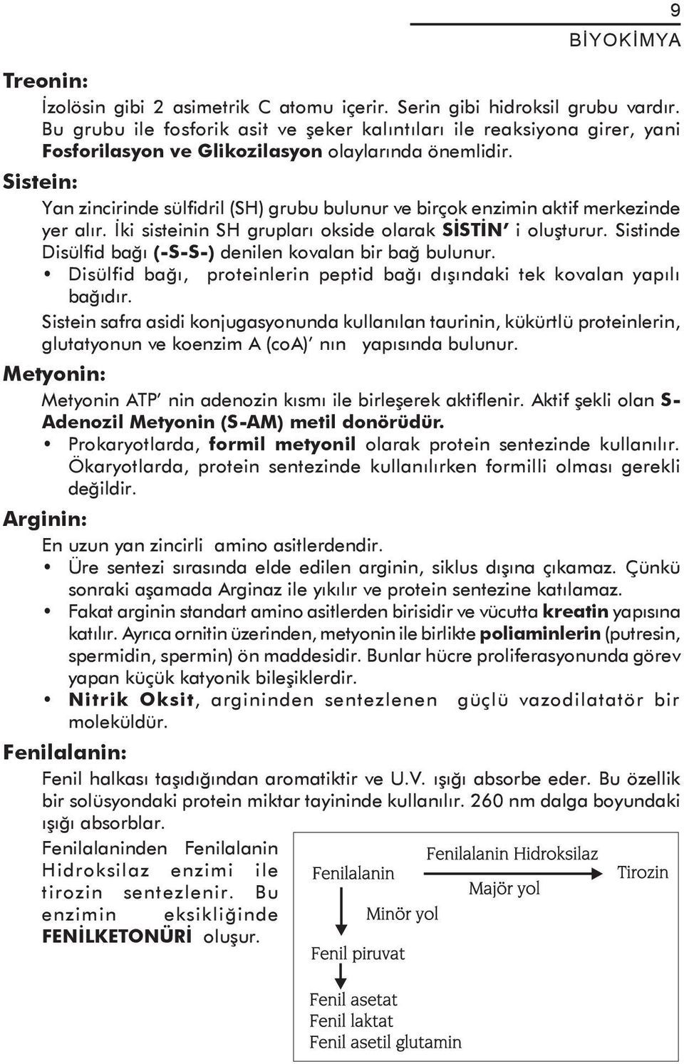 Sistein: Yan zincirinde sülfidril (SH) grubu bulunur ve birçok enzimin aktif merkezinde yer alır. İki sisteinin SH grupları okside olarak SİSTİN i oluşturur.