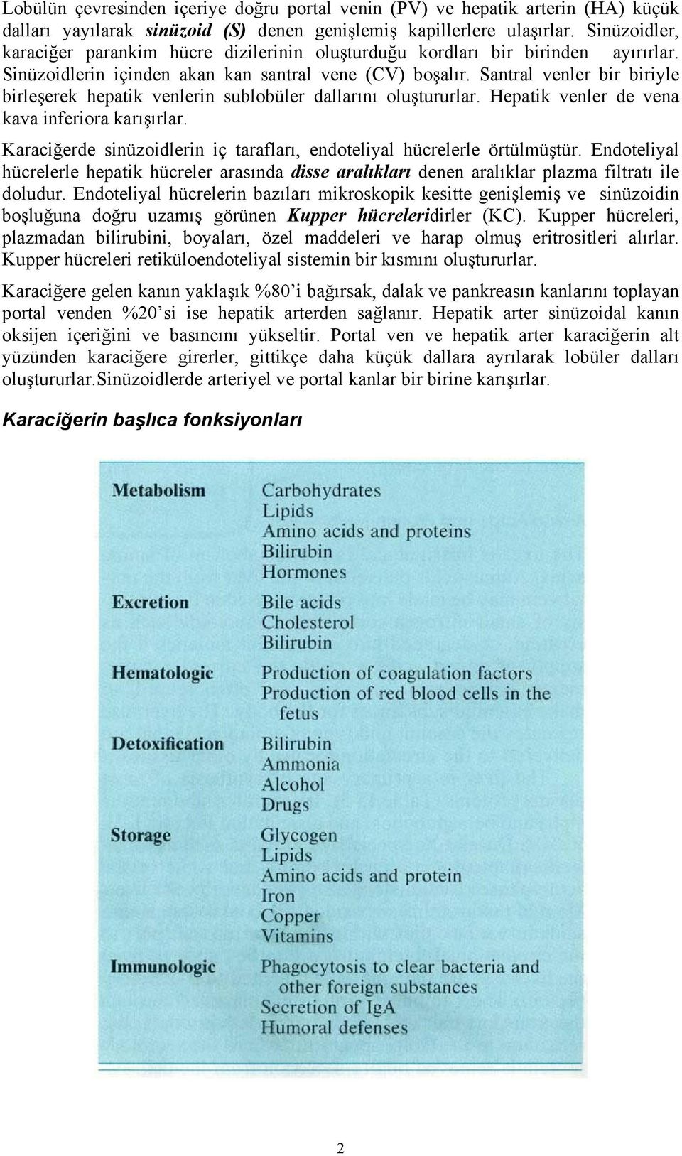 Santral venler bir biriyle birleşerek hepatik venlerin sublobüler dallarını oluştururlar. Hepatik venler de vena kava inferiora karışırlar.