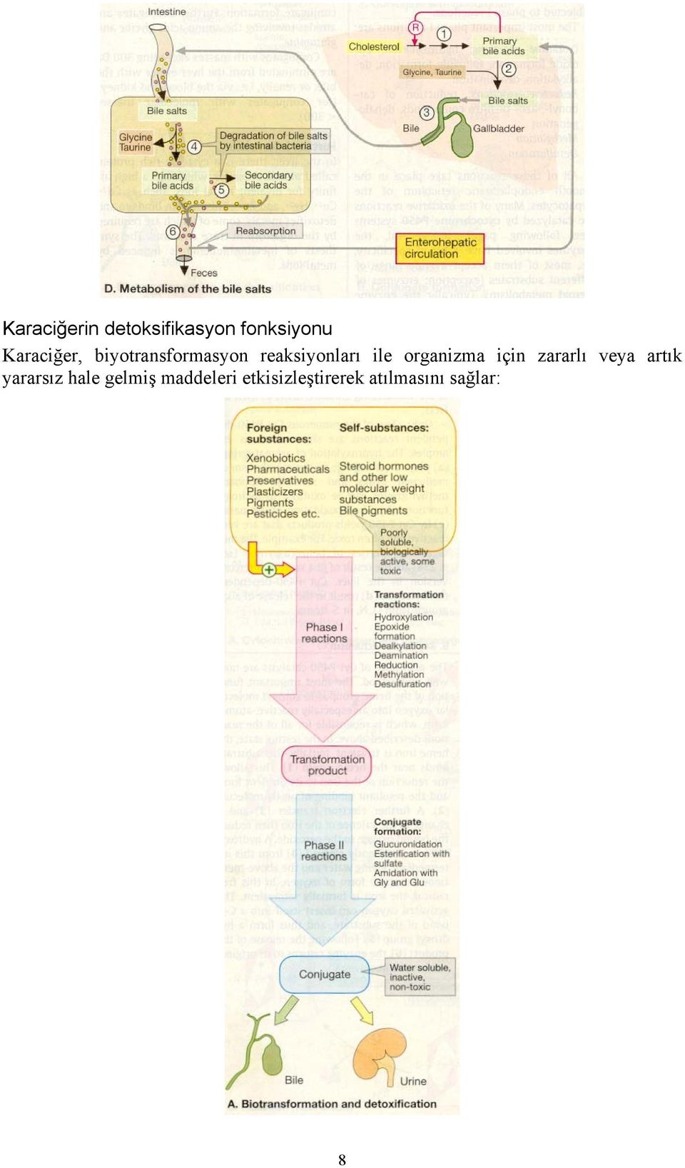 organizma için zararlı veya artık yararsız hale