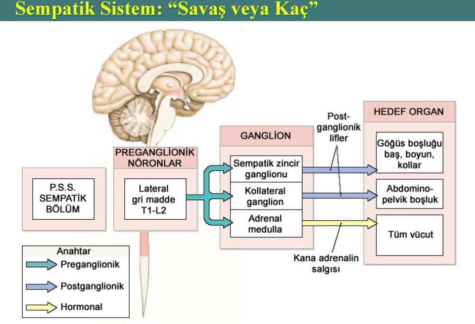 Savaş