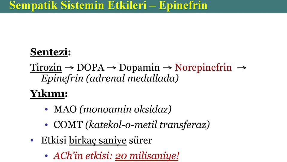 Yıkımı: MAO (monoamin oksidaz) COMT (katekol-o-metil