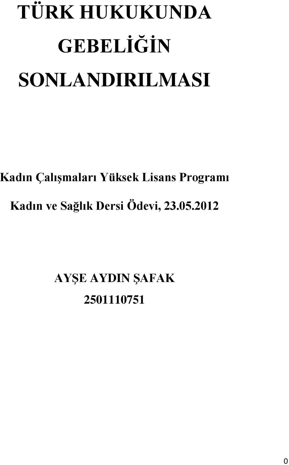 Yüksek Lisans Programı Kadın ve