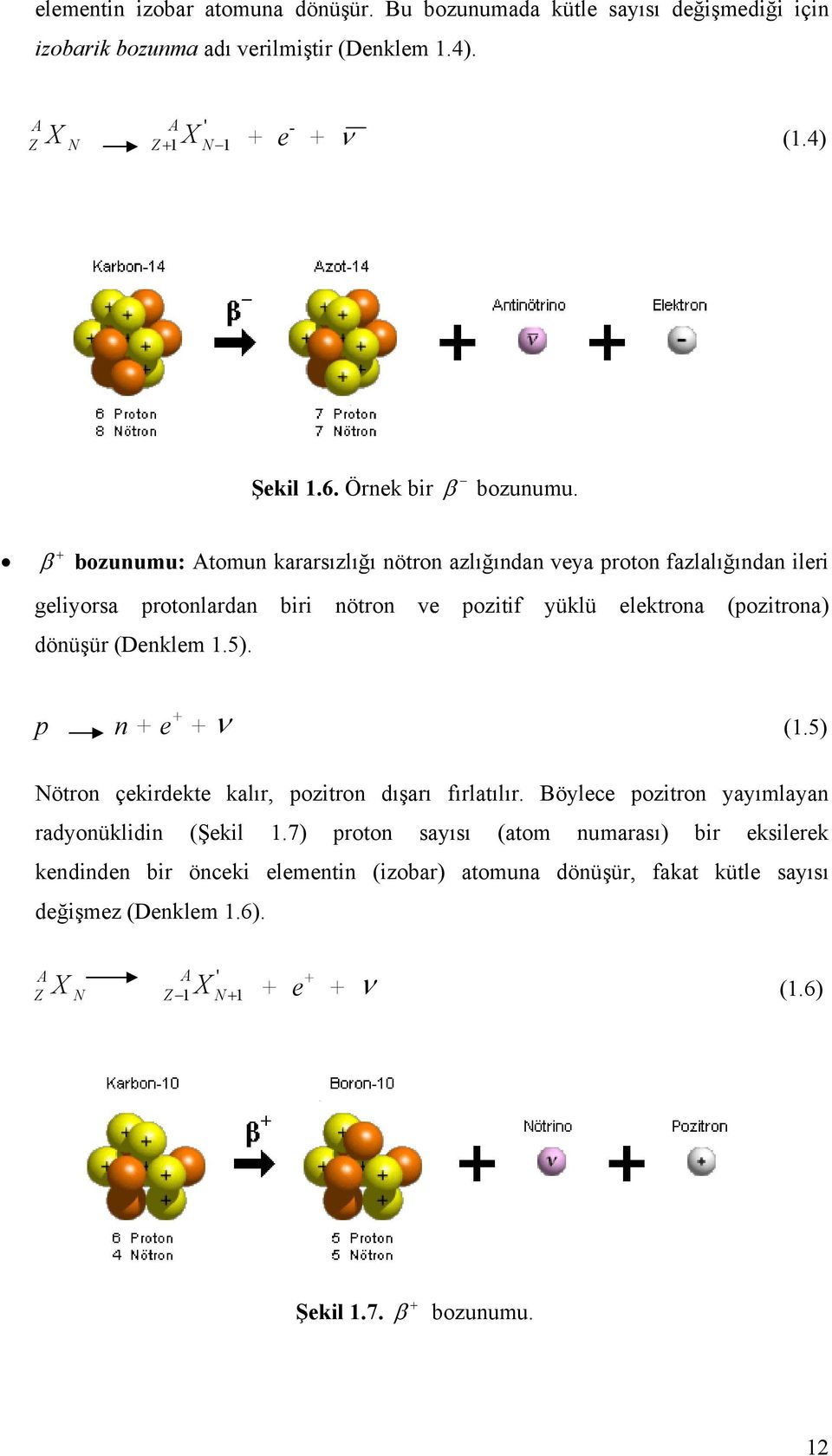 + β bozunumu: Atomun kararsızlığı nötron azlığından veya proton fazlalığından ileri geliyorsa protonlardan biri nötron ve pozitif yüklü elektrona (pozitrona) dönüşür (Denklem 1.