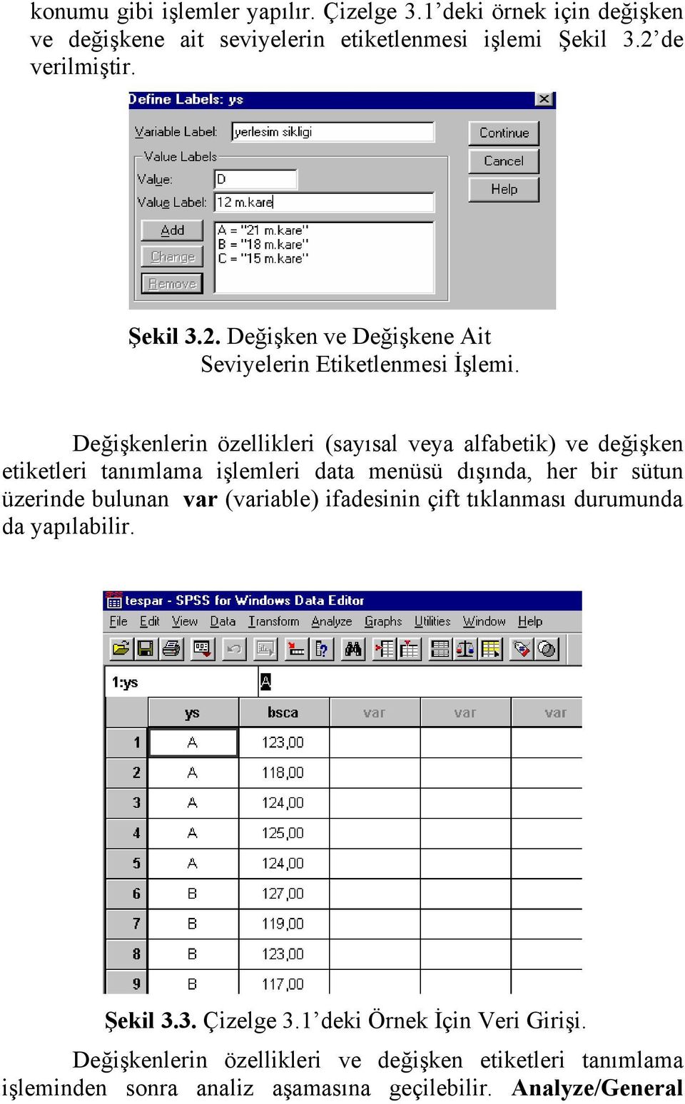 Değişkenlerin özellikleri (sayısal veya alfabetik) ve değişken etiketleri tanımlama işlemleri data menüsü dışında, her bir sütun üzerinde bulunan var