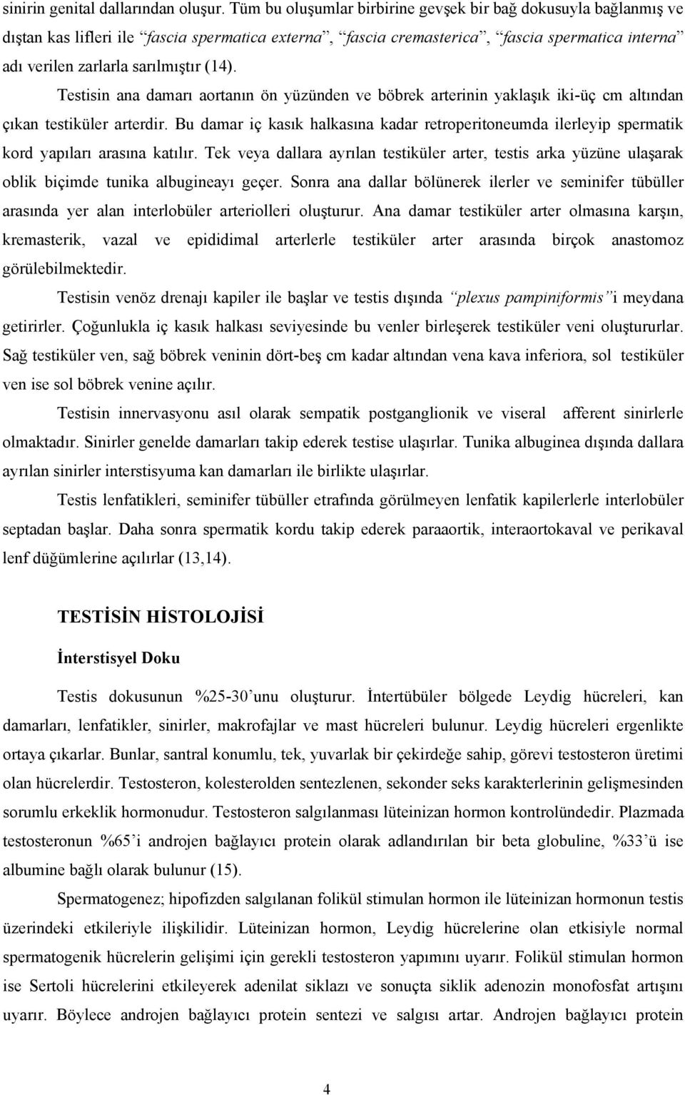 Testisin ana damarı aortanın ön yüzünden ve böbrek arterinin yaklaşık iki-üç cm altından çıkan testiküler arterdir.