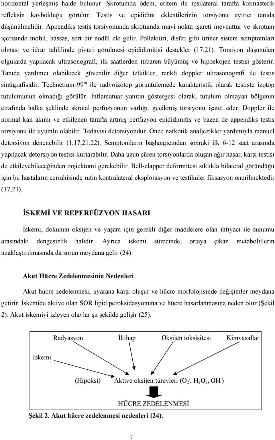 Pollakiüri, disüri gibi üriner sistem semptomları olması ve idrar tahlilinde piyüri görülmesi epididimitisi destekler (17,21).