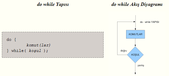 do while Döngüsü Göreceğimiz ikinci döngü çeşidi, do while döngüsüdür. Yaptığı iş, while ile hemen hemen aynıdır; verilen işi, döngü koşulu bozulana kadar sürdürür.