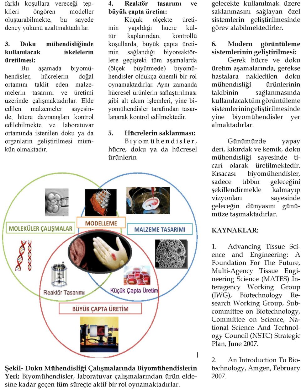 Elde edilen malzemeler sayesinde, hücre davranışları kontrol edilebilmekte ve laboratuvar ortamında istenilen doku ya da organların geliştirilmesi mümkün olmaktadır. 4.