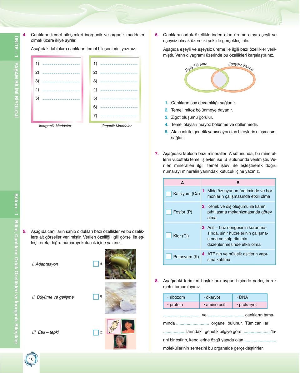 Verilen özelliği ilgili görsel ile eşleştirerek, doğru numarayı kutucuk içine yazınız. 1) 2) 3) 4) 5) 6) 7) I. Adaptasyon A. II. Büyüme ve geliflme B. III. Etki tepki C. rganik Maddeler 6.