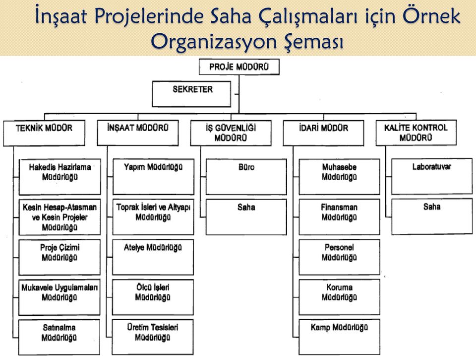 Saha Çalışmaları