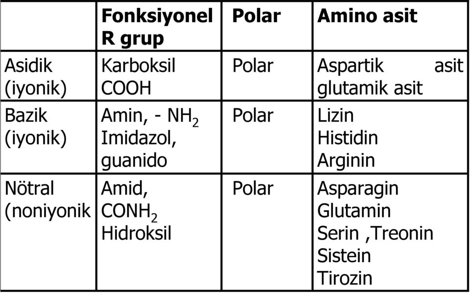 Hidroksil Polar Amino asit Polar Aspartik asit glutamik asit Polar