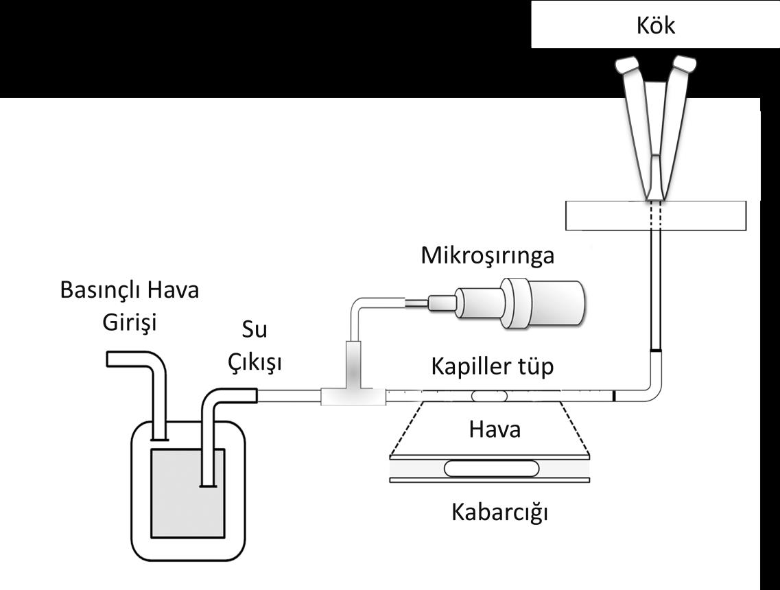 55 Şekil 3.13.