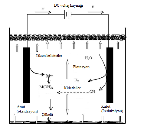 ġekil 3.1: Elektrokoagülasyon prosesindeki giderim mekanizması (Mollah ve diğ., 2004). 3.1.1 Elektrokoagülasyonun uygulama alanları Elektrokoagülasyon prosesi su ve atık suda bulunabilen ağır metal, askıda katı ve kolloid madde, yağ ve gres, kompleks organikler v.