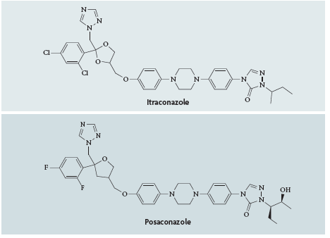 Triazol Antifungaller Kimyasal Yapı X Ostrosky-Zeichner L et al, An insight into the