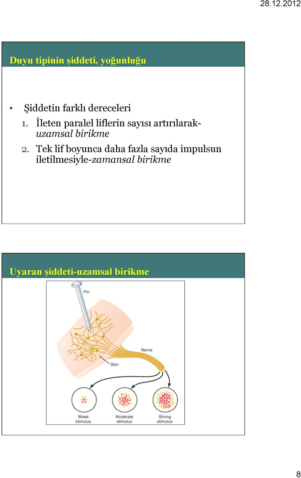 İleten paralel liflerin sayısı artırılarakuzamsal birikme