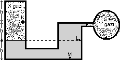 13) Şekildeki kaplarda d yoğunluklu sıvılar vardır.k, L ve M cisimleri altlarındaki sıvılara bırakıldığında,hangi kapların tabanındaki sıvı basıncı değişmez?
