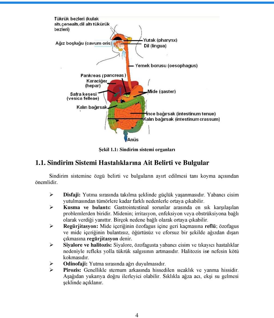 Kusma ve bulantı: Gastrointestinal sorunlar arasında en sık karşılaşılan problemlerden biridir. Midenin; irritasyon, enfeksiyon veya obstrüksiyona bağlı olarak verdiği yanıttır.