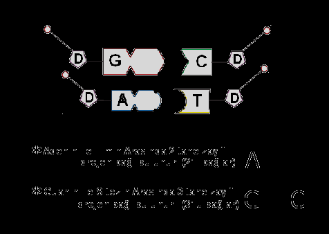 1. ÜNĠTE : HÜCRE BÖLÜNMESĠ VE KALITIM 1 DNA (Deoksiribo Nükleik Asit) Kalıtım maddesi hücre çekirdeğinde bulunur. Kalıtım maddesi iğ ipliği (Yumak) Ģeklinde bir görünümdedir.