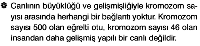 Kromozomlardan 2 tanesi EĢey (Üreme) geri kalanları ise Vücut Kromozomu olarak adlandırılır. Vücut Kromozomları hayatsal faaliyetleri yönetirken EĢey kromozomları kalıtsal bilgi aktarımı yapar.