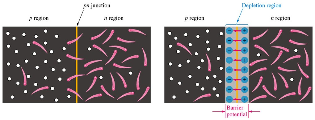 p-n Jonksiyonu Jonksiyon bölgesinde elektron-oyuk birleşmesi meydana gelerek burada
