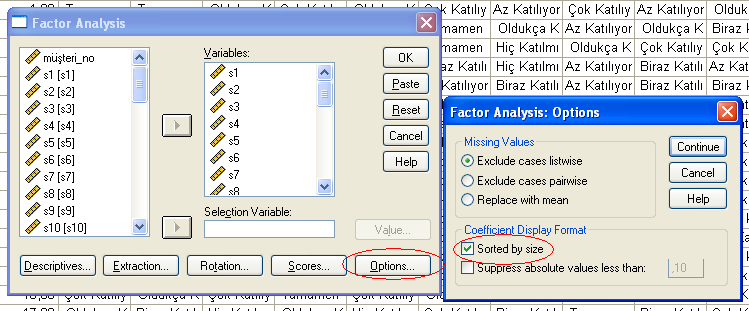 13 SPSS Manual Bunu