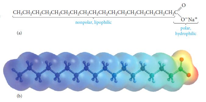 Moleküler Bileşiklerin Adlandırılması İkili moleküler bileşiklerin adlandırılması İkili bileşiklerin adlandırılmasında aşağıdaki kurallar uygulanır. 1.