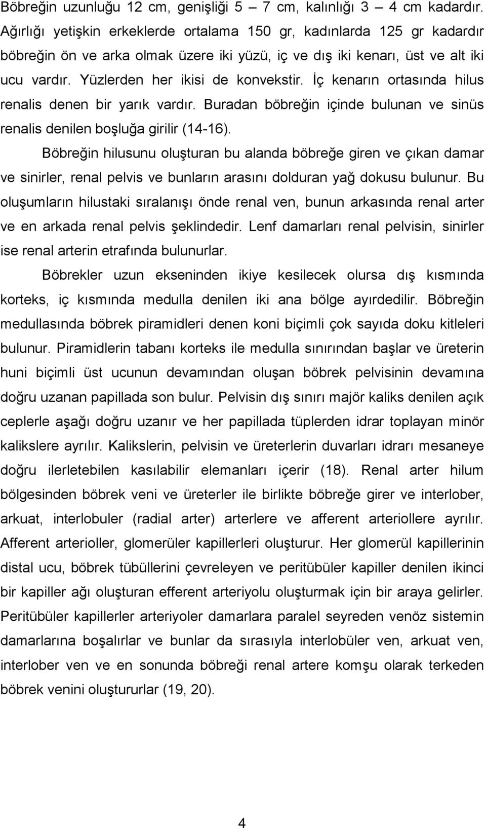 İç kenarın ortasında hilus renalis denen bir yarık vardır. Buradan böbreğin içinde bulunan ve sinüs renalis denilen boşluğa girilir (14-16).