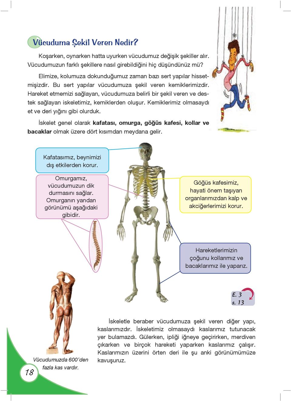 Hareket etmemizi sağlayan, vücudumuza belirli bir şekil veren ve destek sağlayan iskeletimiz, kemiklerden oluşur. Kemiklerimiz olmasaydı et ve deri yığını gibi olurduk.